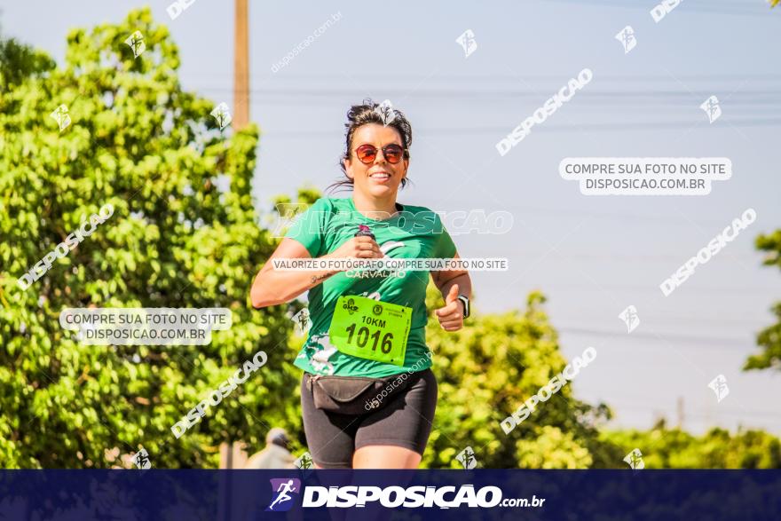 4ª GM Run Arapongas