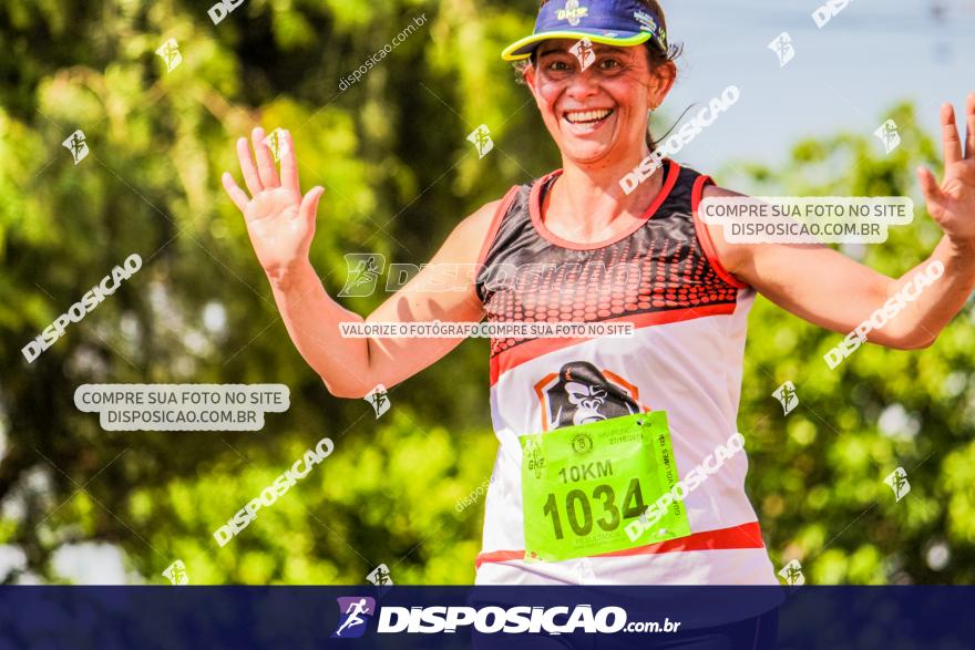 4ª GM Run Arapongas