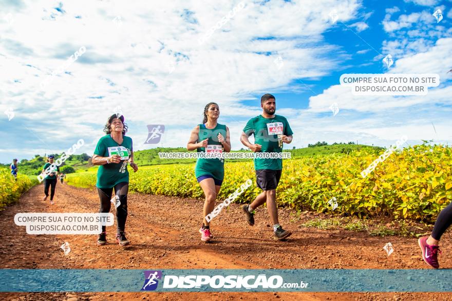 Decathlon Off Road 2020 - 1ª Etapa