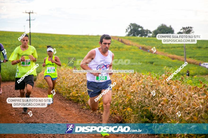 Decathlon Off Road 2020 - 1ª Etapa