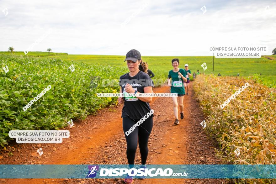 Decathlon Off Road 2020 - 1ª Etapa