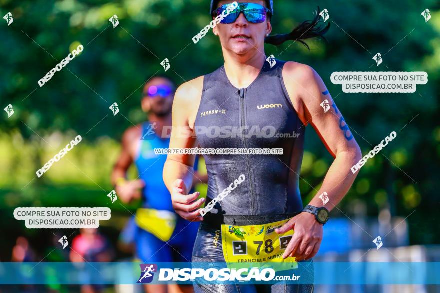 VI Short Triathlon