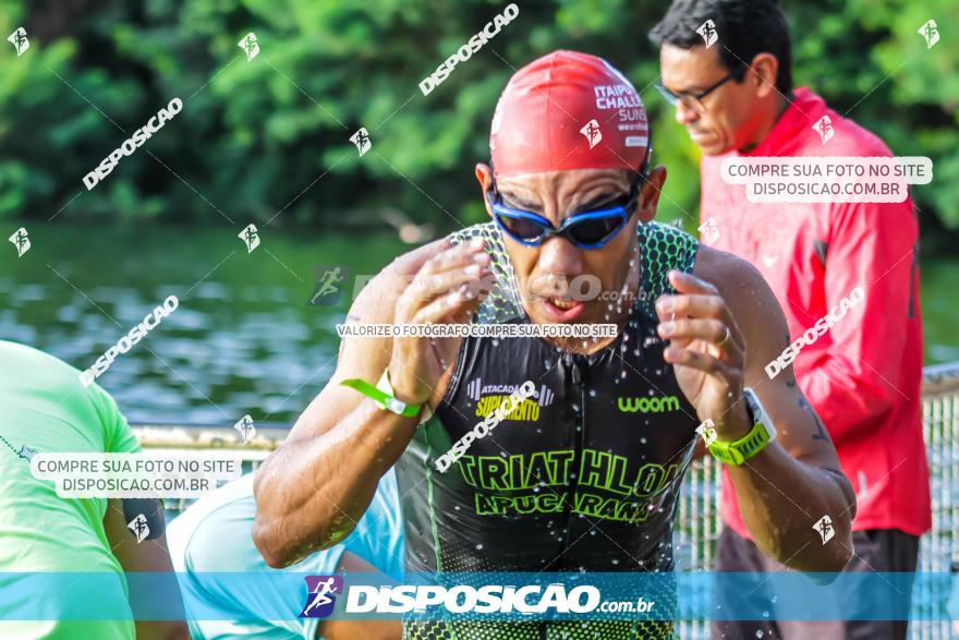 VI Short Triathlon