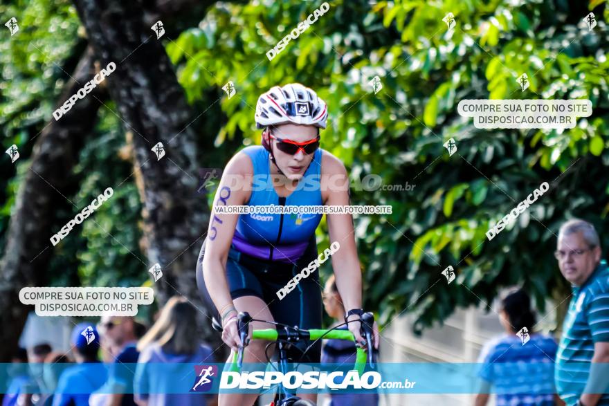 VI Short Triathlon