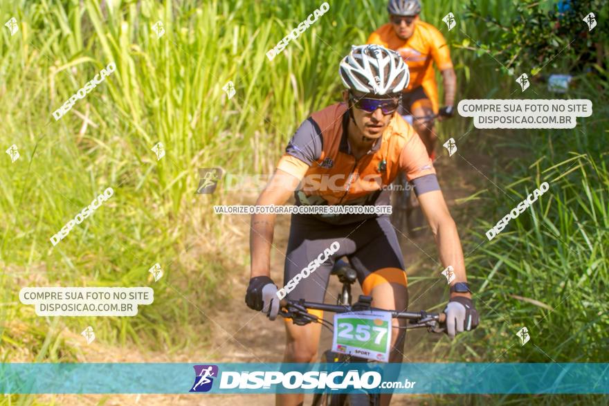 VI GP Santa Isabel do Ivaí­ de Mountain Bike