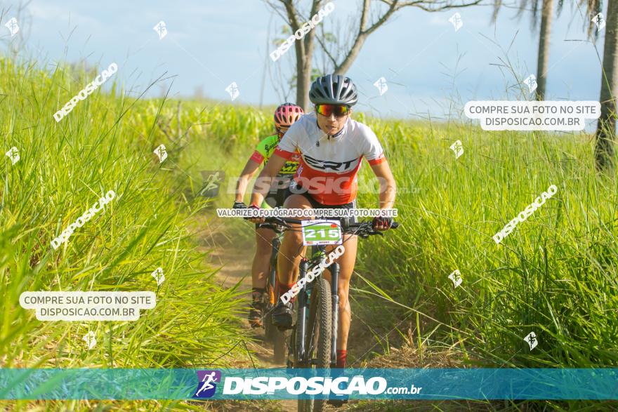 VI GP Santa Isabel do Ivaí­ de Mountain Bike