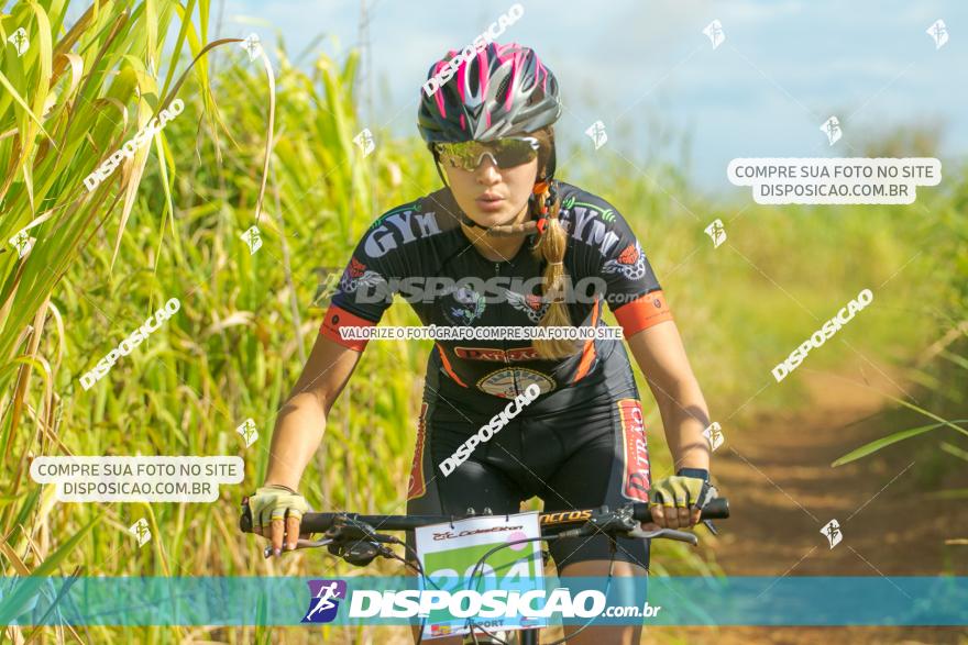 VI GP Santa Isabel do Ivaí­ de Mountain Bike