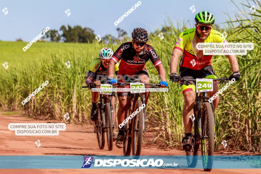 VI GP Santa Isabel do Ivaí­ de Mountain Bike