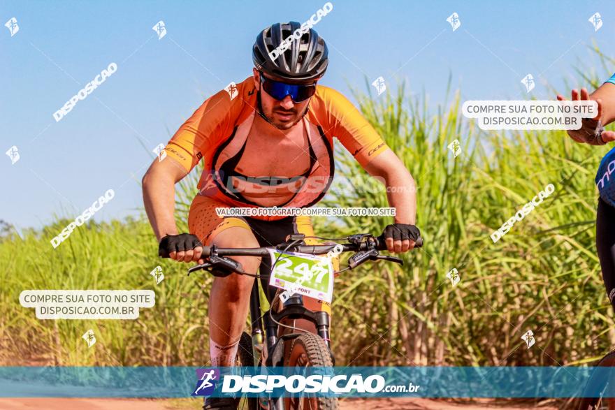 VI GP Santa Isabel do Ivaí­ de Mountain Bike