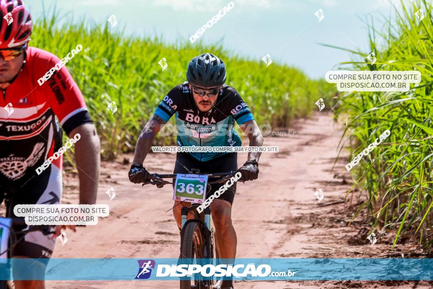 VI GP Santa Isabel do Ivaí­ de Mountain Bike