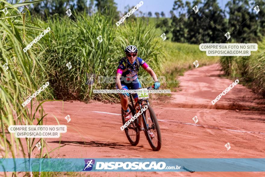 VI GP Santa Isabel do Ivaí­ de Mountain Bike