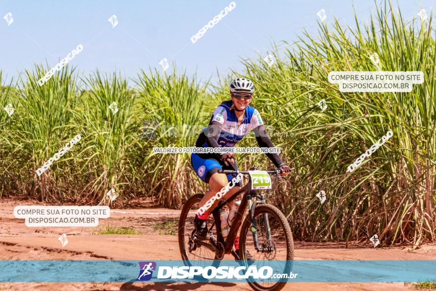 VI GP Santa Isabel do Ivaí­ de Mountain Bike