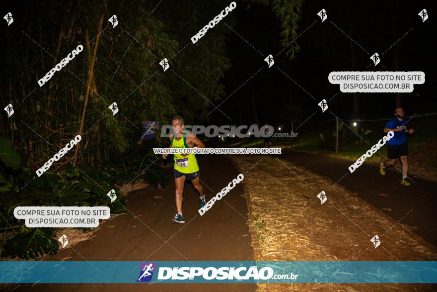 3ª Londrisoft nightRun