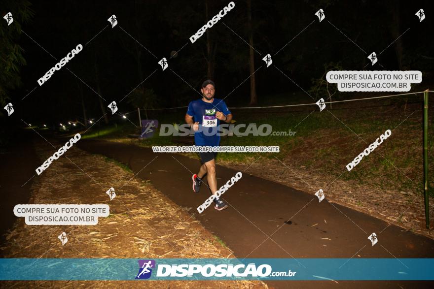 3ª Londrisoft nightRun