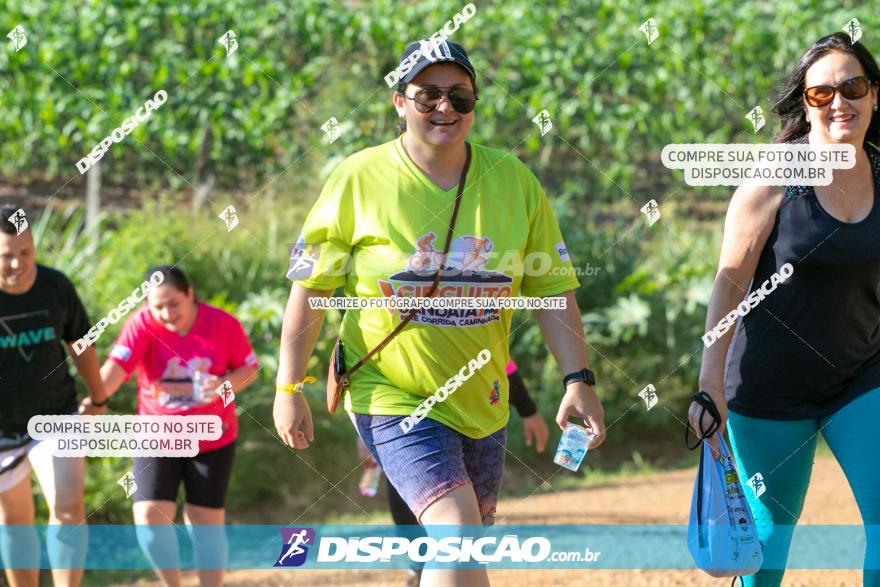 1ª Etapa Circuito Jandaia 2020 - Corrida e Caminhada