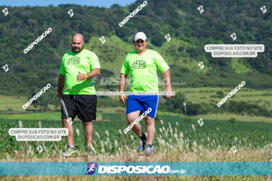 1ª Etapa Circuito Jandaia 2020 - Corrida e Caminhada