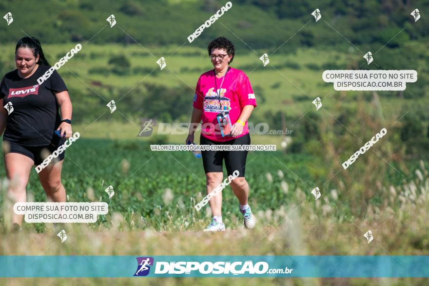 1ª Etapa Circuito Jandaia 2020 - Corrida e Caminhada