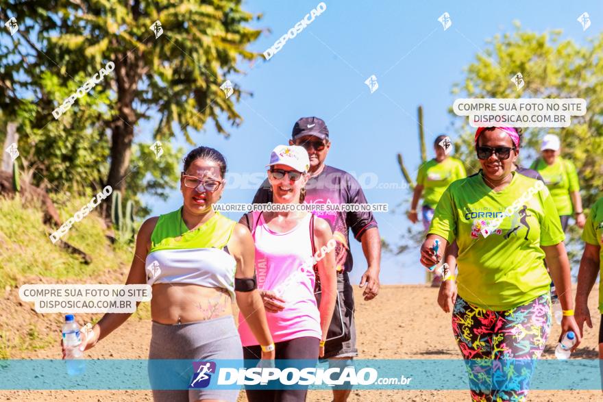 1ª Etapa Circuito Jandaia 2020 - Corrida e Caminhada