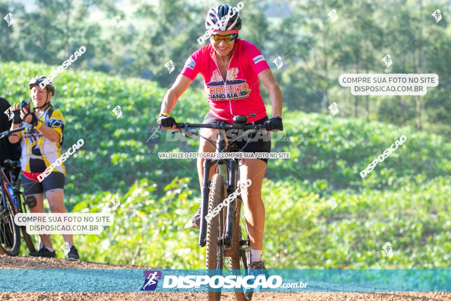 1ª Etapa Circuito Jandaia 2020 - Mountain Bike