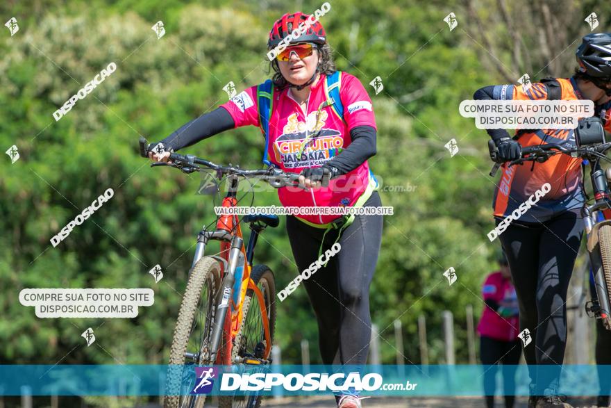 1ª Etapa Circuito Jandaia 2020 - Mountain Bike