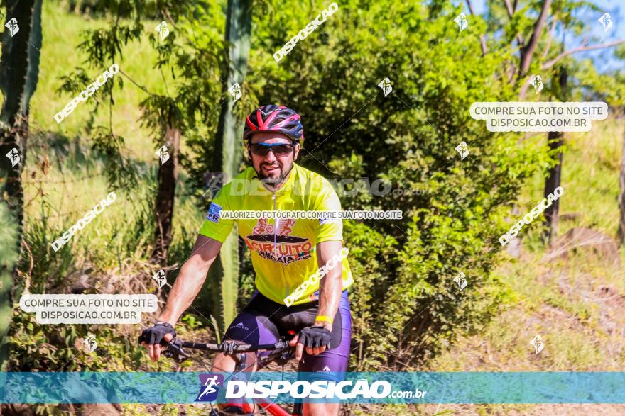 1ª Etapa Circuito Jandaia 2020 - Mountain Bike