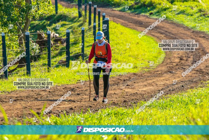 Desafio das Catedrais 2020