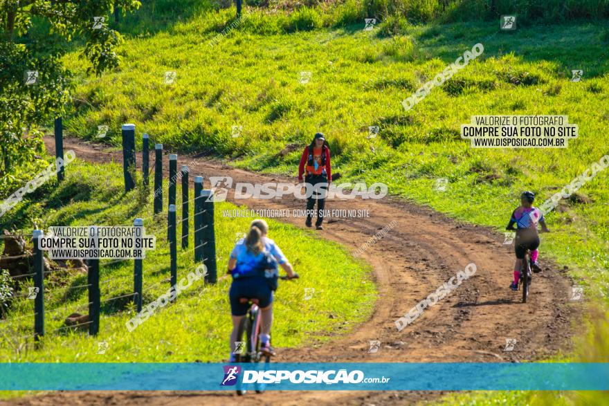 Desafio das Catedrais 2020