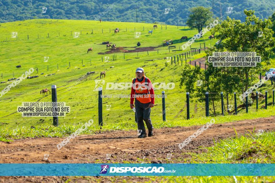 Desafio das Catedrais 2020