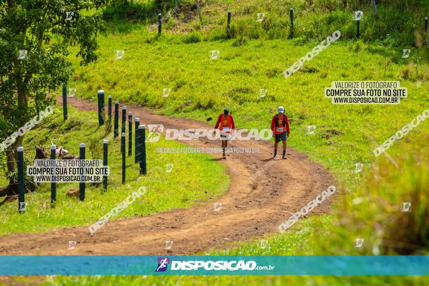 Desafio das Catedrais 2020