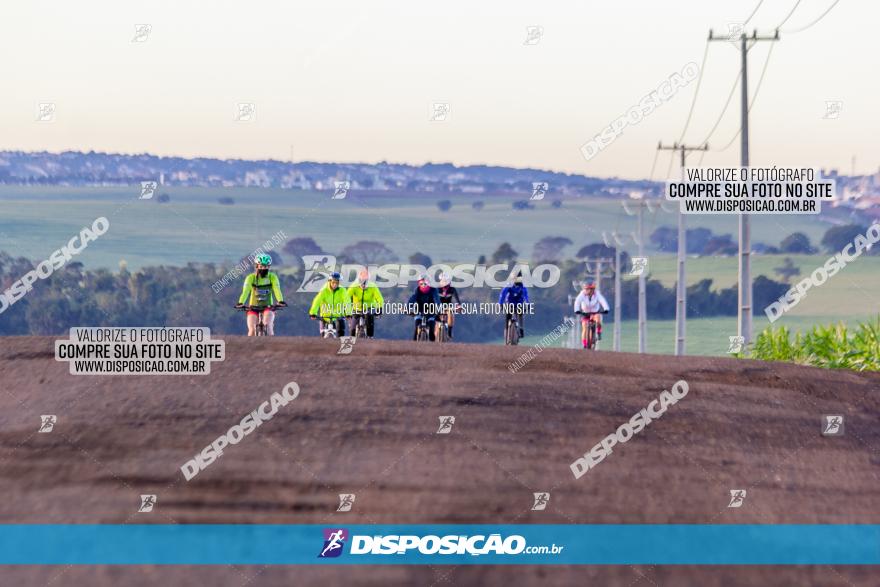 Desafio Meio Ambiente 2021