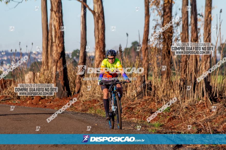 Desafio Meio Ambiente 2021