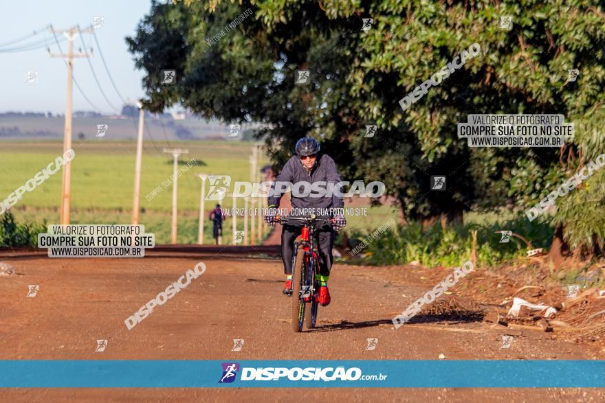 Desafio Meio Ambiente 2021