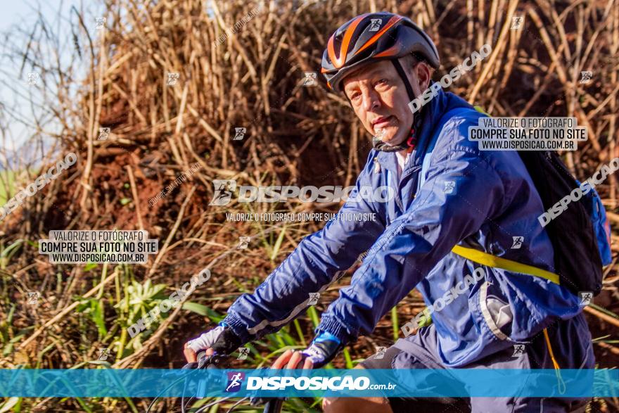 Desafio Meio Ambiente 2021