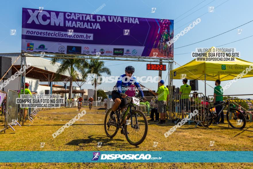 XCM Capital da Uva Fina Marialva 2021