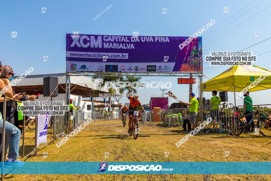 XCM Capital da Uva Fina Marialva 2021