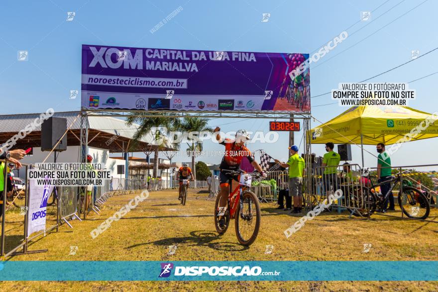 XCM Capital da Uva Fina Marialva 2021