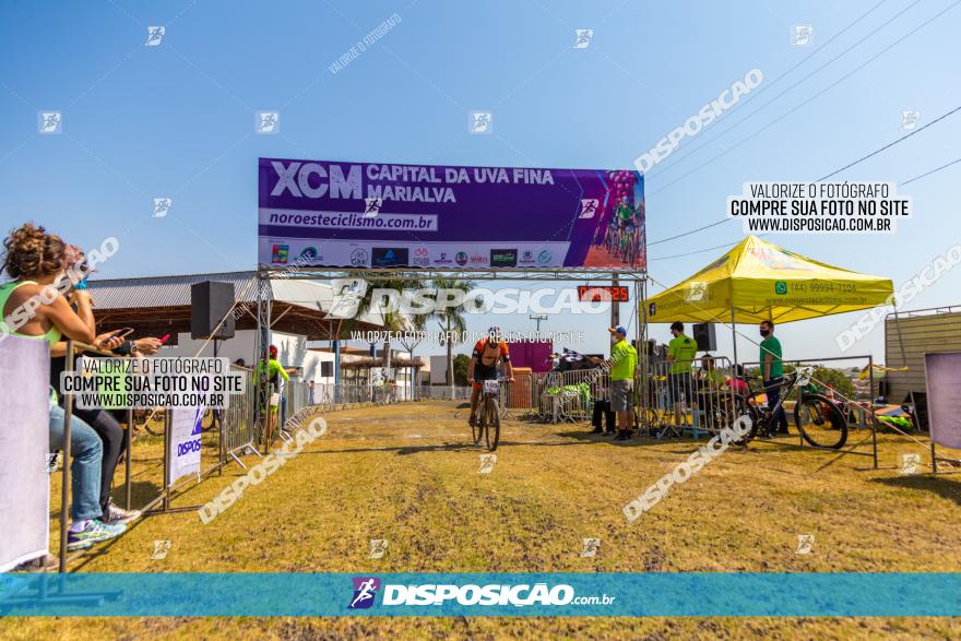 XCM Capital da Uva Fina Marialva 2021