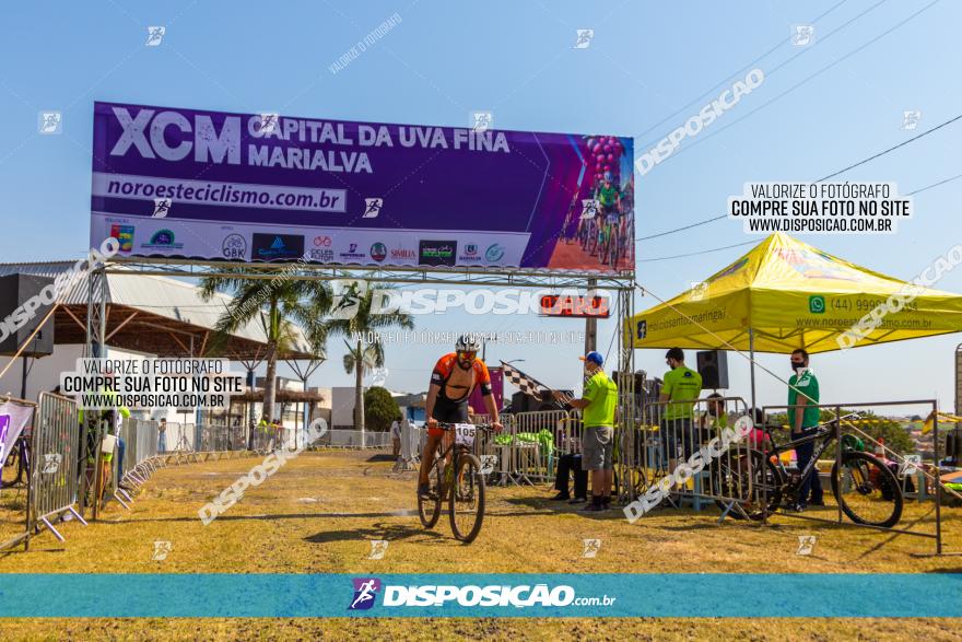 XCM Capital da Uva Fina Marialva 2021