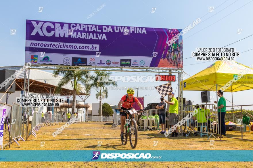 XCM Capital da Uva Fina Marialva 2021