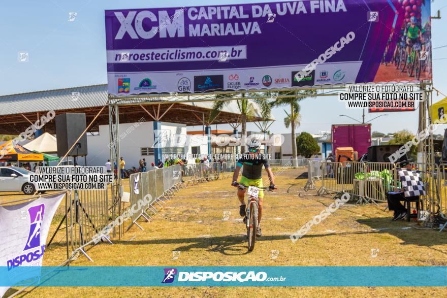 XCM Capital da Uva Fina Marialva 2021