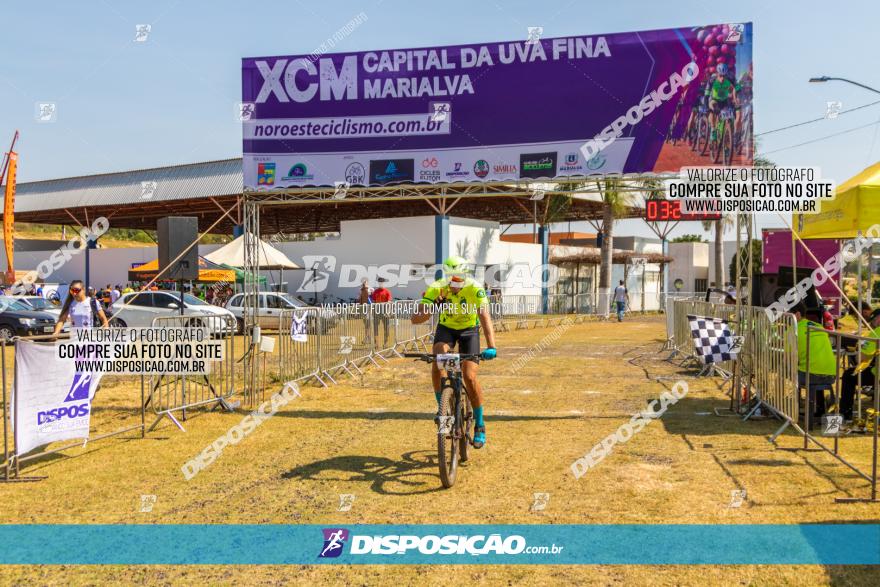 XCM Capital da Uva Fina Marialva 2021