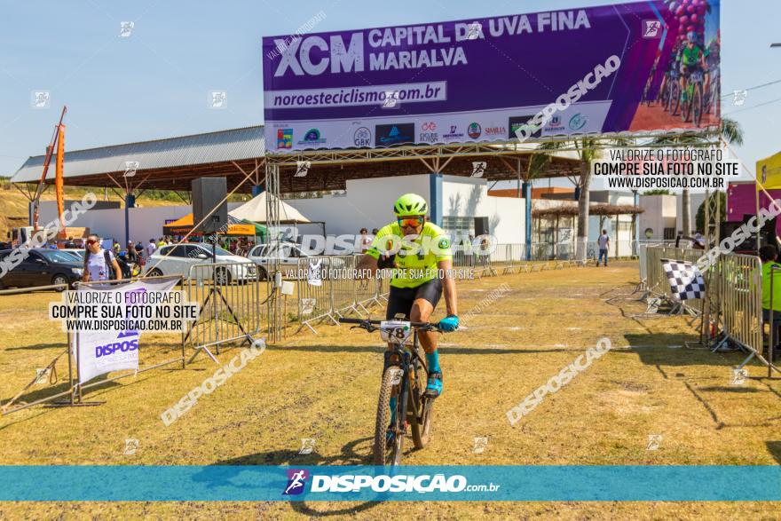 XCM Capital da Uva Fina Marialva 2021