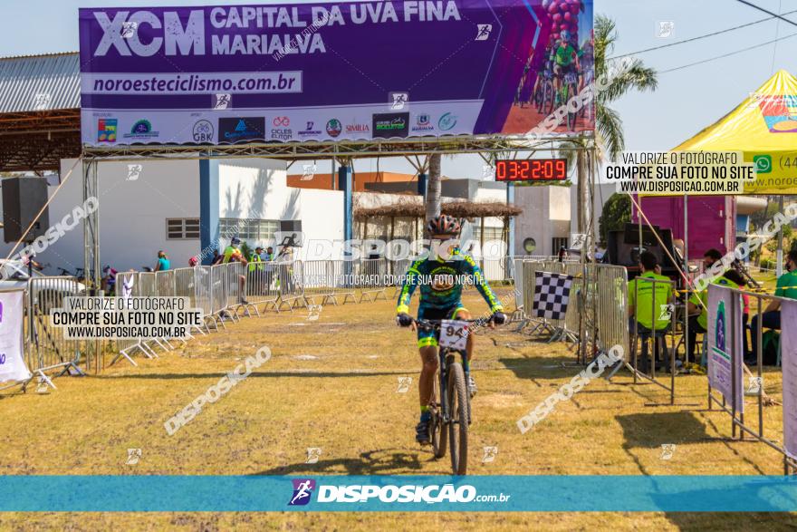 XCM Capital da Uva Fina Marialva 2021