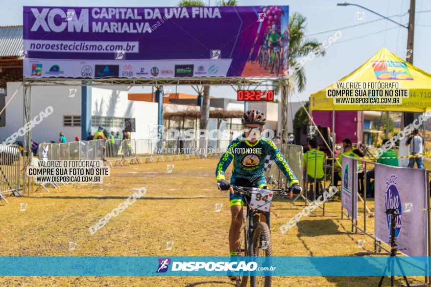 XCM Capital da Uva Fina Marialva 2021