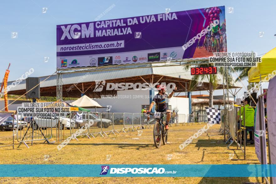 XCM Capital da Uva Fina Marialva 2021