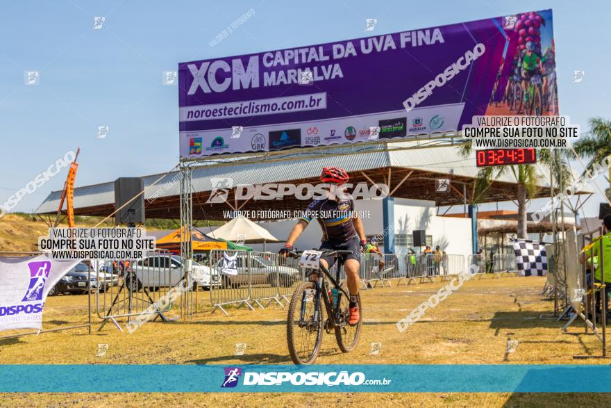 XCM Capital da Uva Fina Marialva 2021