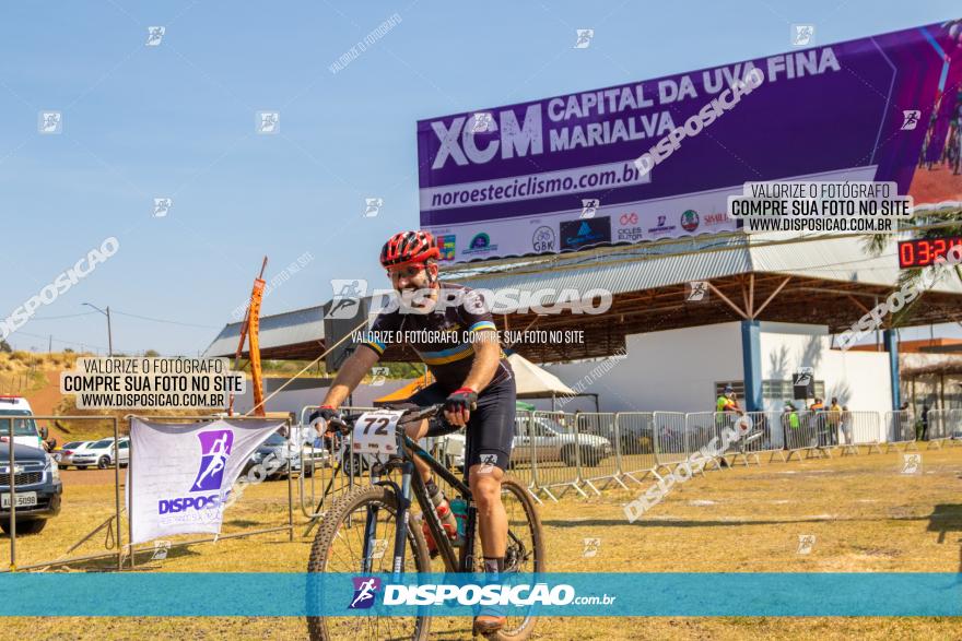 XCM Capital da Uva Fina Marialva 2021