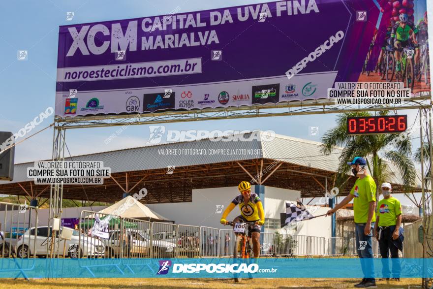 XCM Capital da Uva Fina Marialva 2021