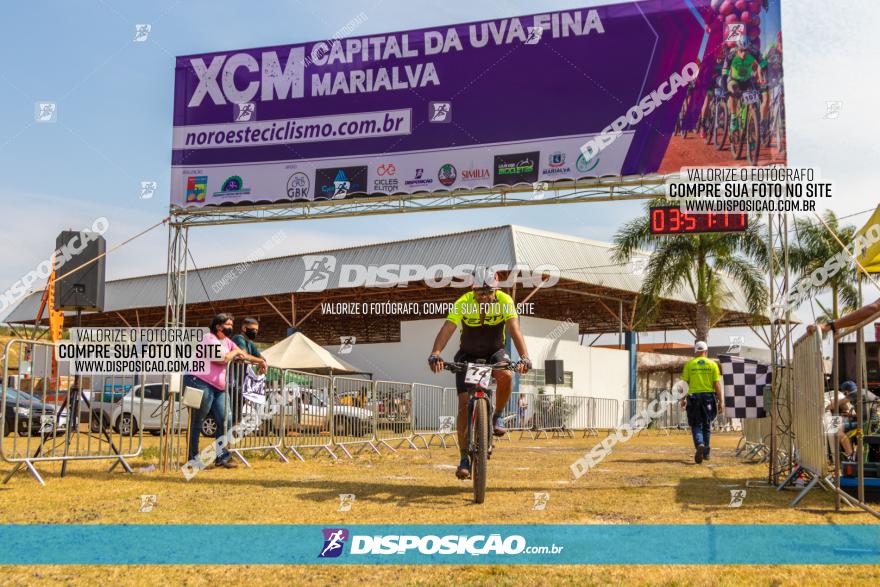 XCM Capital da Uva Fina Marialva 2021