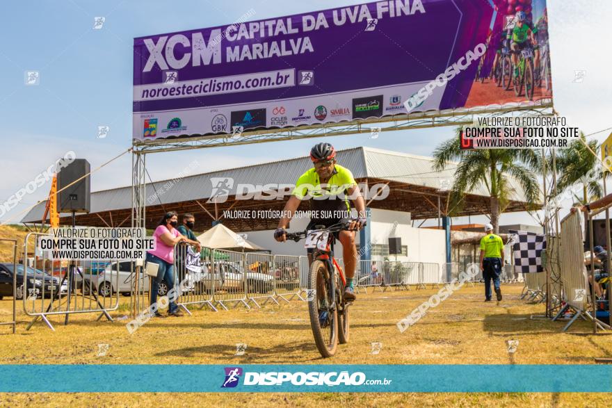 XCM Capital da Uva Fina Marialva 2021